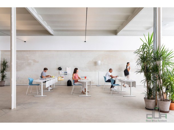 Birou operational TALENT