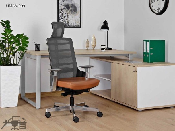 Scaun ergonomic SPINELLY UM-W-999