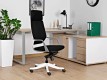 Scaun ergonomic managerial Apollo