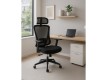Scaun ergonomic operational DART GR021H